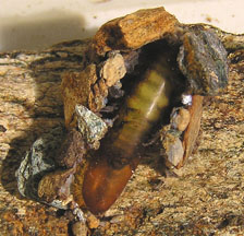 hydrobiologie11.jpg